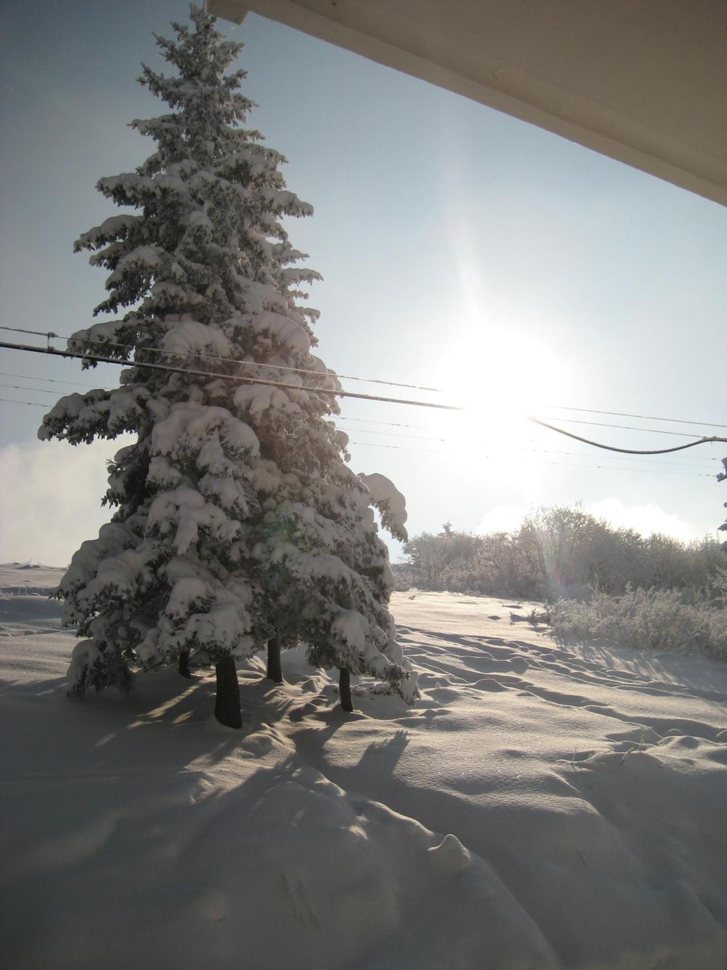 Albergo Casa Della Neve สเตรซา ภายนอก รูปภาพ